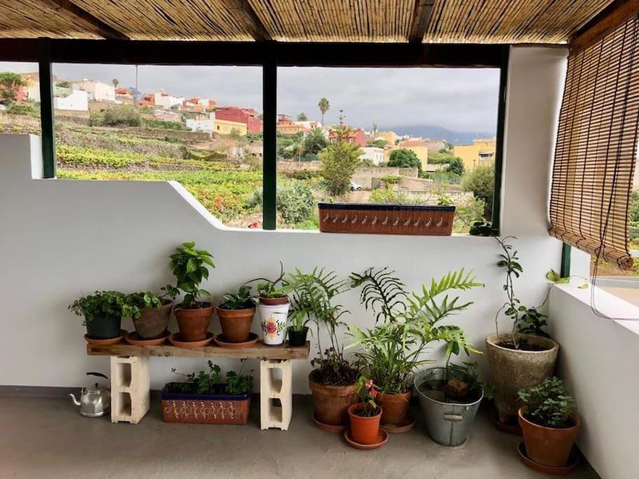 Finca Maranuela La Perdoma Extérieur photo